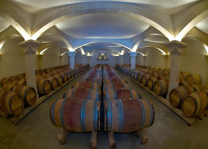 Chateau Saint Martin De La Garrigue