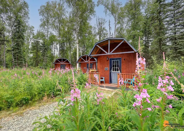 Dfa Cabin Rentals