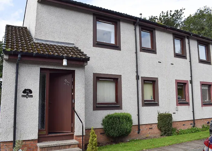 Copas De Los Árboles