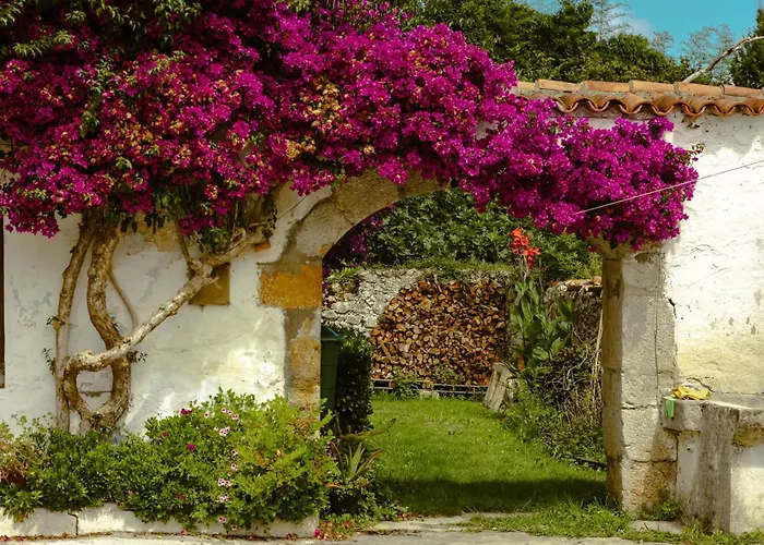 La casa de los árboles