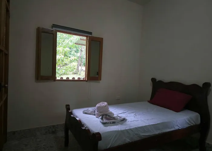The Jungle Lodge