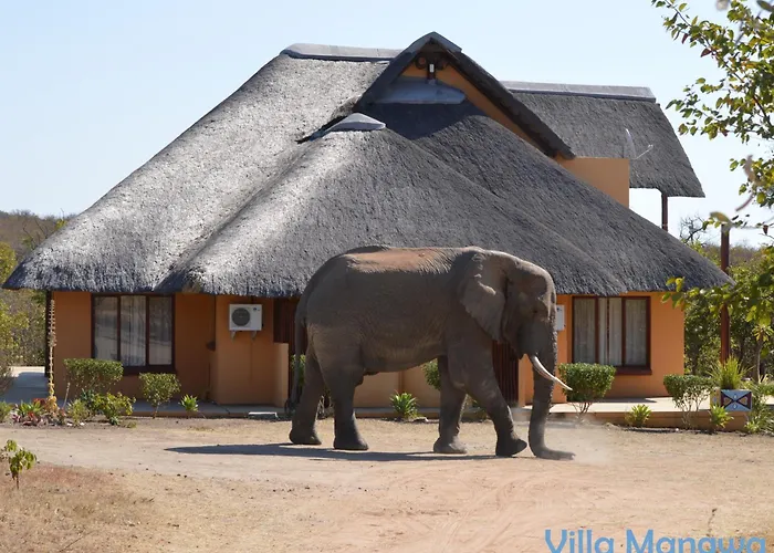 Luxury Safari Homes