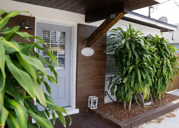 Mi Casa Es Tu Casa, Airport Suites