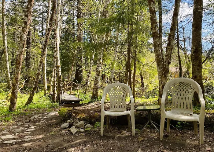 Mt Rainier Little Green Cabin On Big Creek!