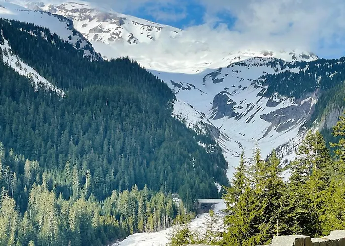 Mt Rainier Little Red Cabin