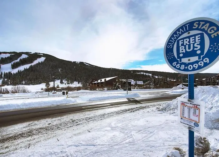 Mtn View - Close To Lifts - Heated Pool - Copper