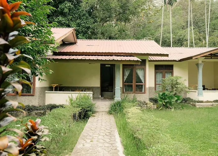 Ecolodge Bukit Lawang