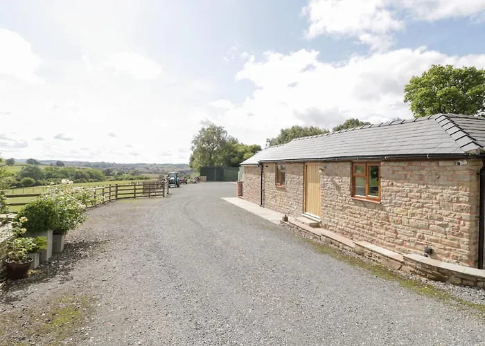 The Cow Shed