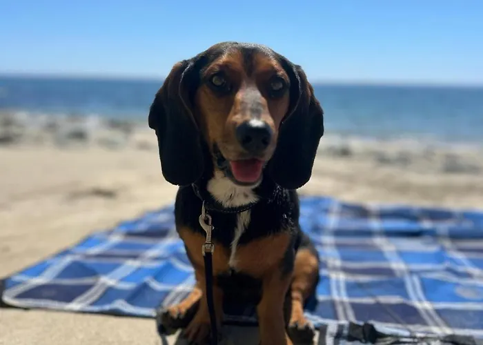 Thea Cottage