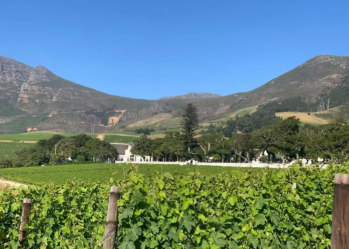 Constantia Winelands Lodge