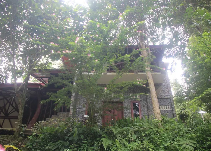 Rinte Green Village & Bukit Lawang Jungle Trekking