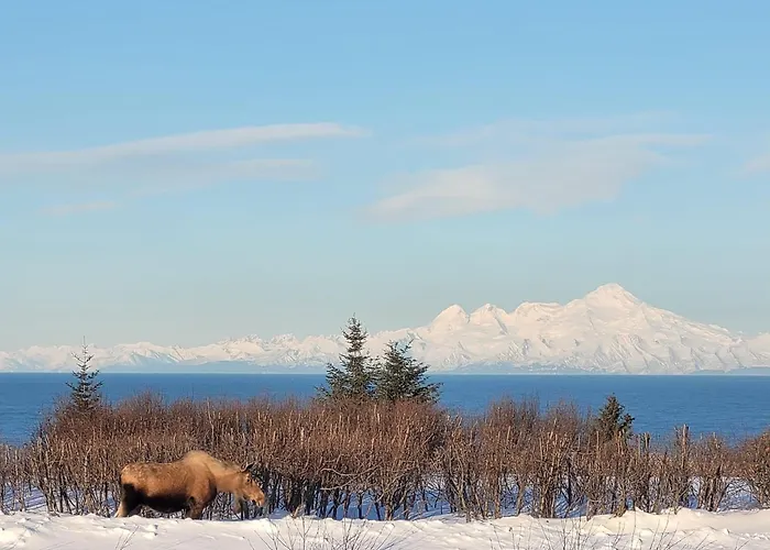 Touch Of Alaska Volcano Vista