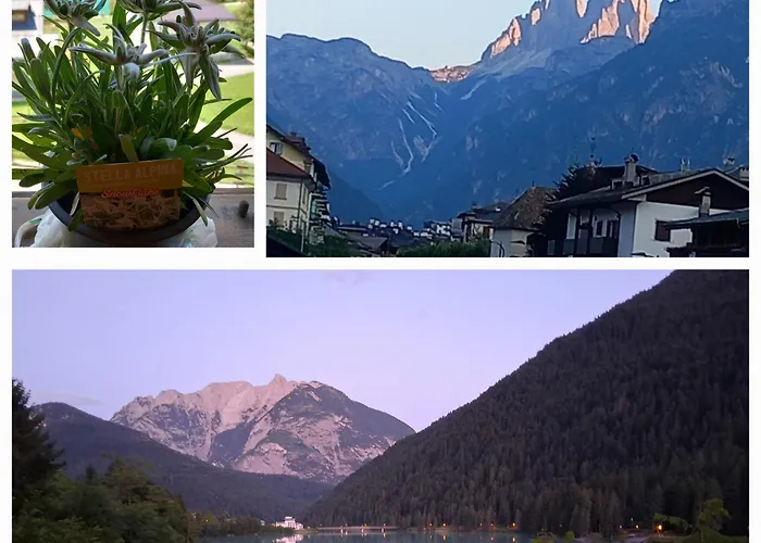 Appartamento Auronzo vista lago