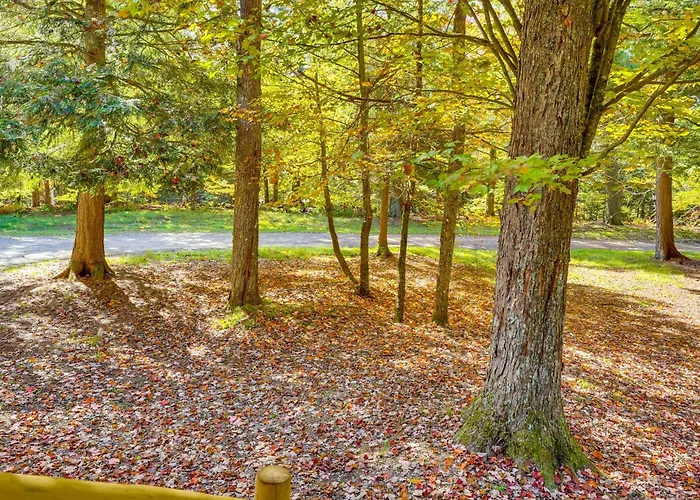 Private Deck & Fire Pit: Adirondack Family Home