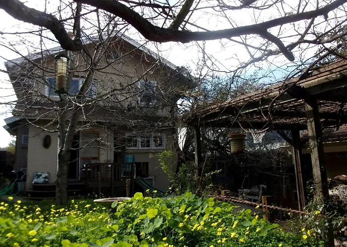 Summer-House Oasis On Quiet Street In Rockridge