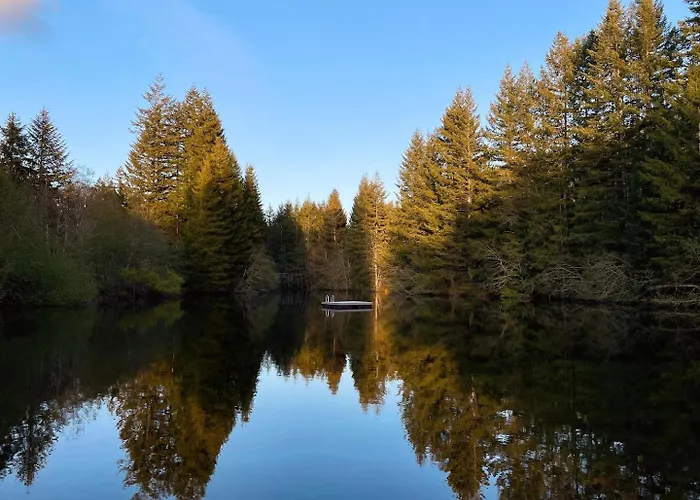 Mt Rainier Little Green Cabin On Big Creek!