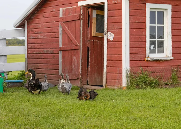Historic Farmhouse W/ Fire Pit: Pet Friendly!