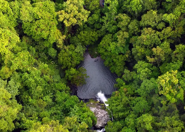 Cassowary Falls Gateway Daintree