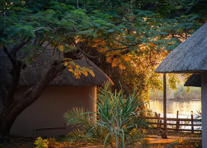 The Chobe Safari Lodge