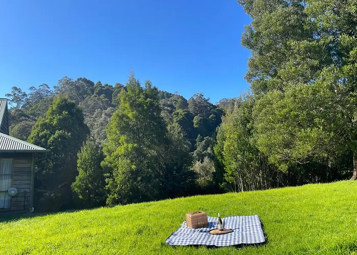 Tall Trees Eco Retreat