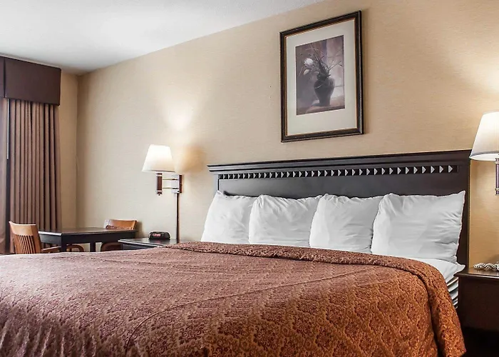 Econo Lodge Elmira-Corning