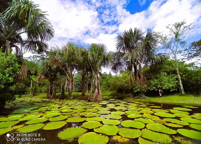 Jacamar Lodge Expeditions
