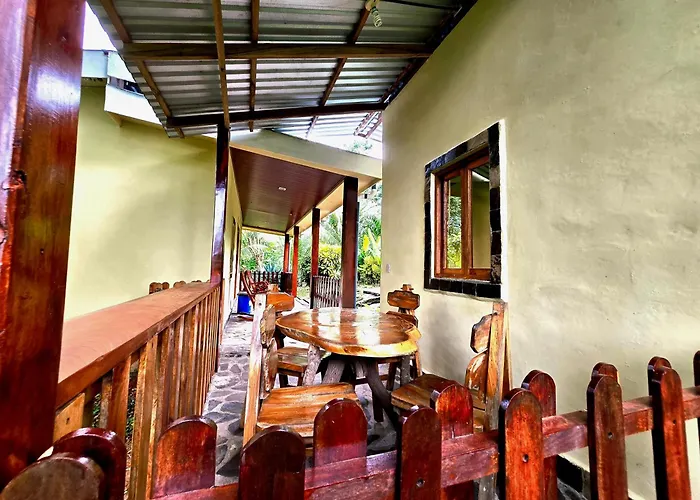 The Jungle Lodge