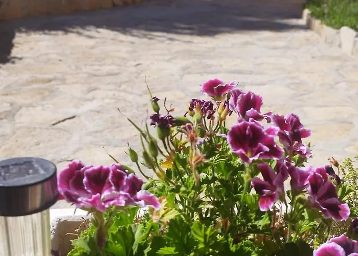 Casa rural los 7 pinos de Gredos