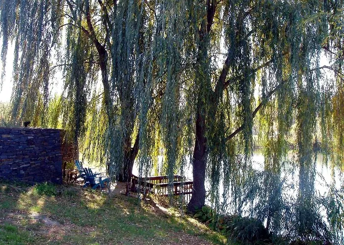 Pet-Friendly Cottage In A Working Farm Near Hudson, New York