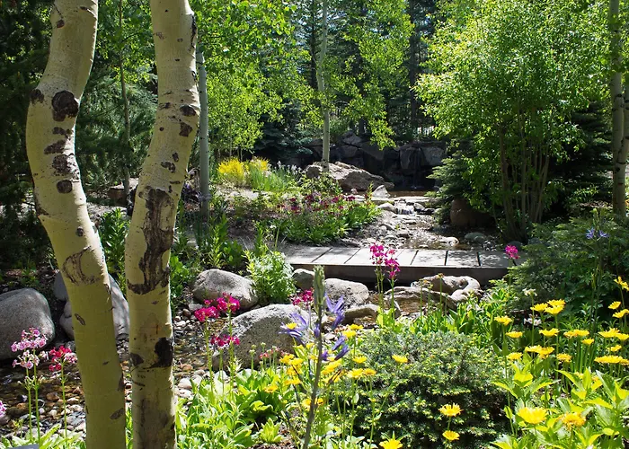 Gravity Haus Vail