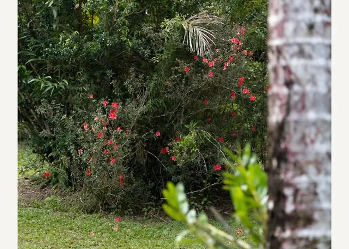 Daintree Valley Cottage