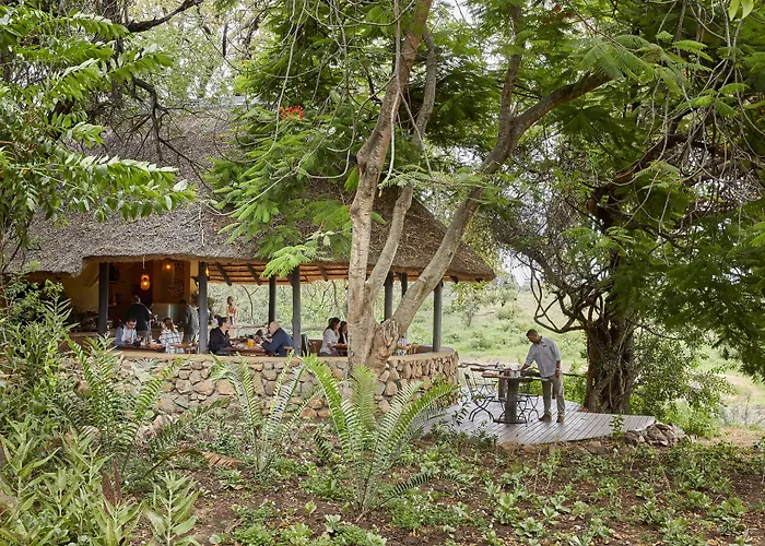 Motswari Private Game Reserve By Newmark