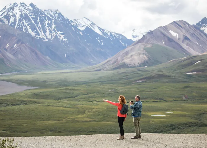 Denali Cabins