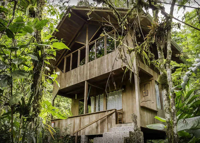 Casa Divina Eco Lodge