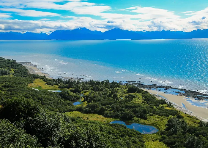 Kenai Peninsula Suites