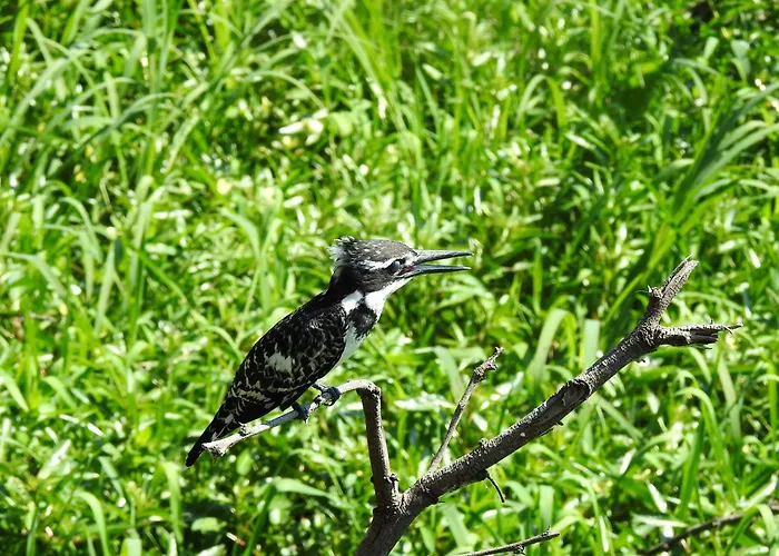Khululeka Safaris Lodge