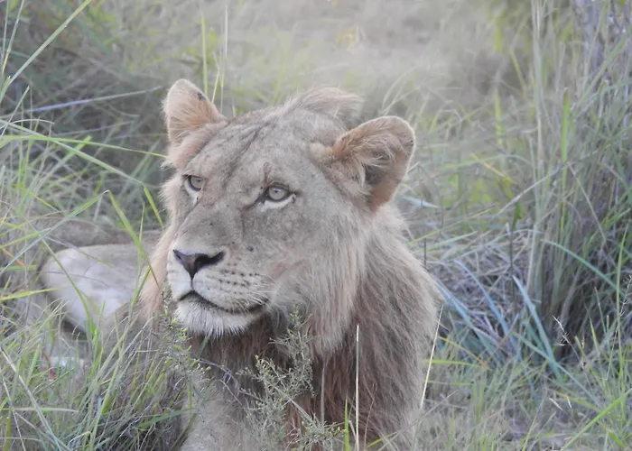 Khululeka Safaris Lodge
