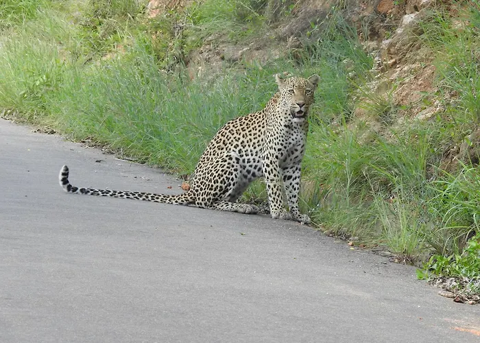 Khululeka Safaris Lodge