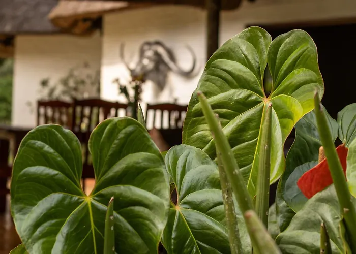 Seringa Lodge & Safaris