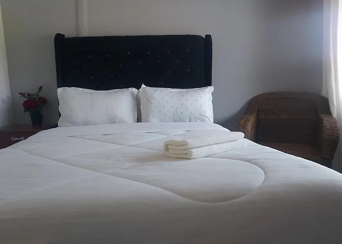 Buffalo Bob Lodge & Tours