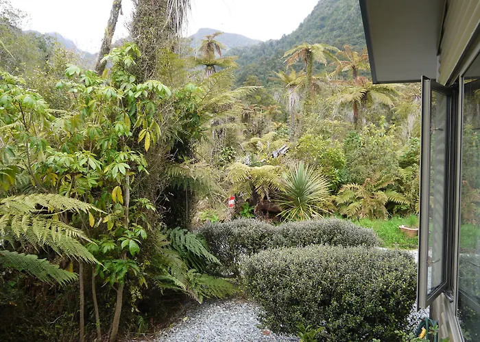 Franz Josef Treetops