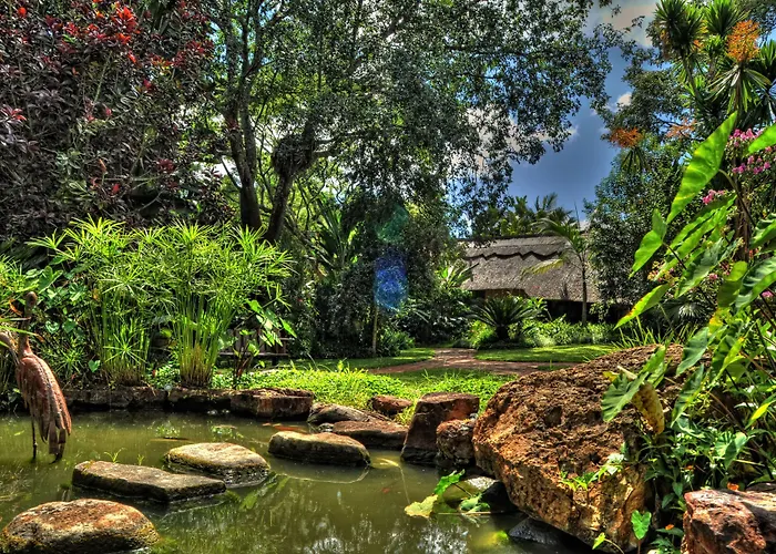 Amanzi Lodge