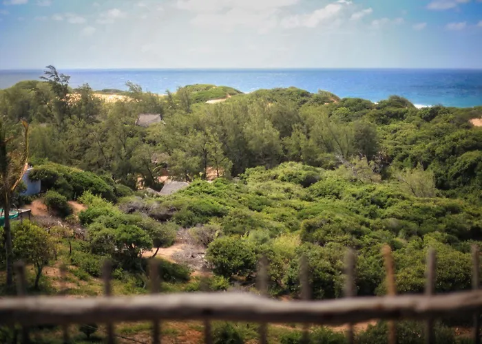 Tree House Villa