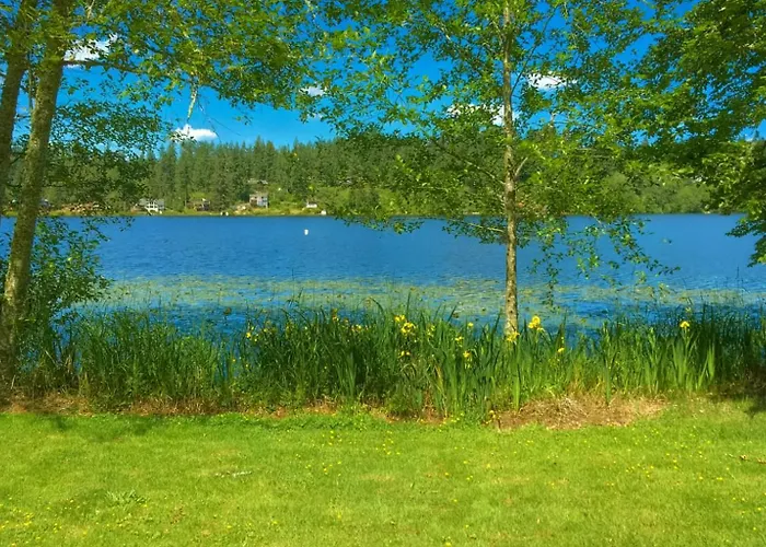 Lakefront Bungalow! 35 Miles To Mt Rainier!