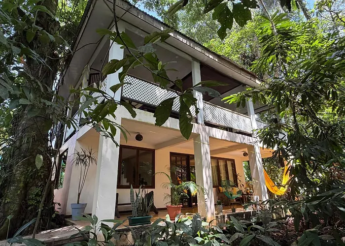 Casa y Cabaña Jaguar Tortuguero