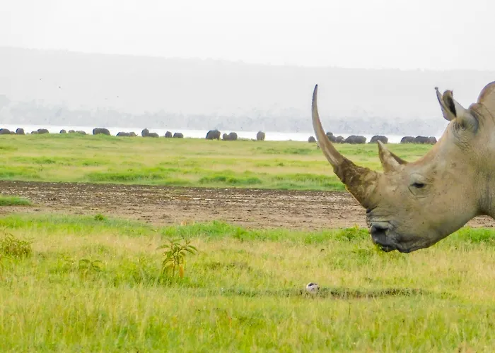 Lake Nakuru Lodge