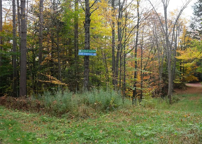 Ski In/Out Spruce Glen Townhomes On Great Eastern Trail