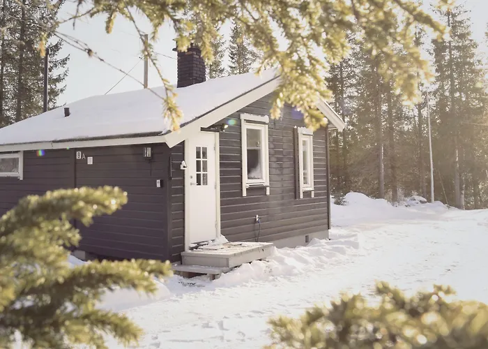 Koselig Hytte I Hemsedal With Outdoor Sauna
