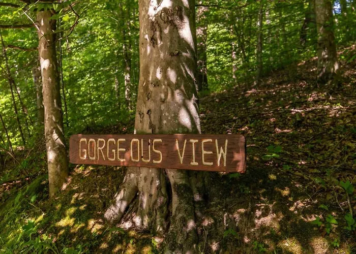 Gorgeous View Cabin - In Red River Gorge Ky