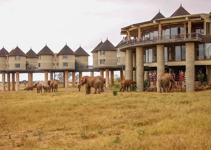 Salt Lick Safari Lodge